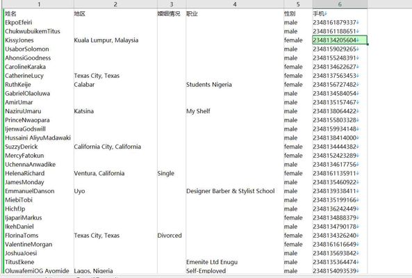 2024年-尼日利亚-投资理财-金融-60万条- 有需要可以尽快下单，购买后mega自动发货 数据格式请看下方截图