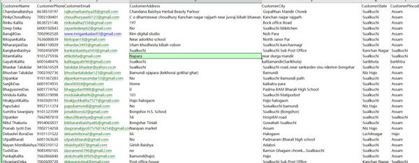 数据出自网站：https://www.flipkart.com/
内容：客户姓名、客户电话、客户电子邮件、客户地址、客户城市、客户状态
