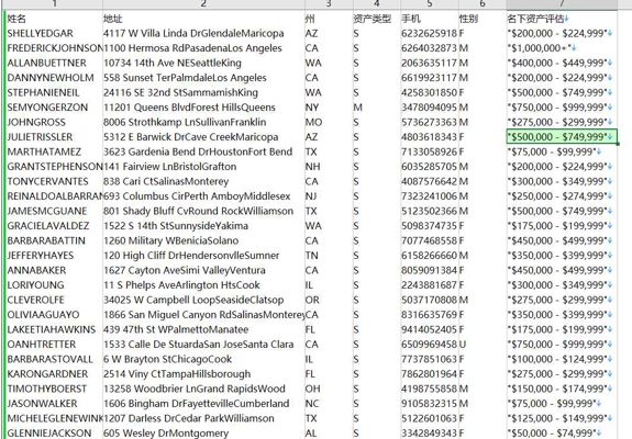 24年新出库-美国-金融理财服务协会（2024年8月）-投资理财-85万条-有需要可以尽快下单，购买后mega自动发货 数据格式请看下方截图
