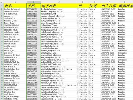 （2024年8月更新）-印度老人-70万条-- 有需要可以尽快下单，购买后mega自动发货 数据格式请看下方截图