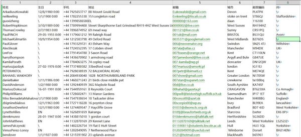（2024年8月更新）-英国-股票股民-40万条-- 有需要可以尽快下单，购买后mega自动发货 数据格式请看下方截图