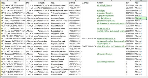 （2024年8月更新）-俄罗斯-董事-16万条- 有需要可以尽快下单，购买后mega自动发货 数据格式请看下方截图