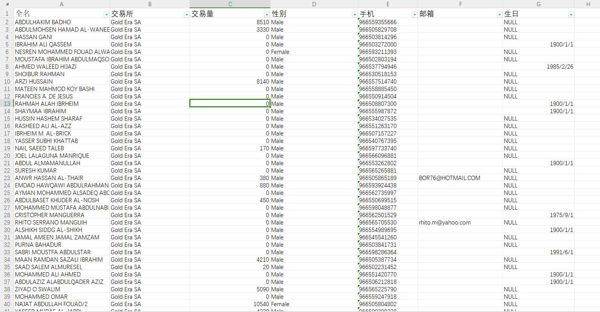 24年新出库-沙特-黄金（2024年8月）-投资交易-55万条- 有需要可以尽快下单，购买后mega自动发货 数据格式请看下方截图