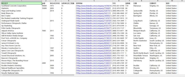 24年新出库-美国-阿波罗投资管理公司-100万条- 有需要可以尽快下单，购买后mega自动发货 数据格式请看下方截图