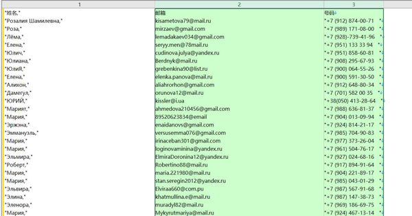 数据出自网站：httpsazino-777slotsplay.ru
内容：姓名,邮箱,电话
