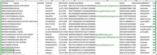 数据出自网站：https://juliajewelry.co.id/

内容：PSNOKA、PSNOKALAMA PSNOKALAMA2,名字,性别,宗教,TMPLHR,生日,FLAGTANGGUNGAN,电话