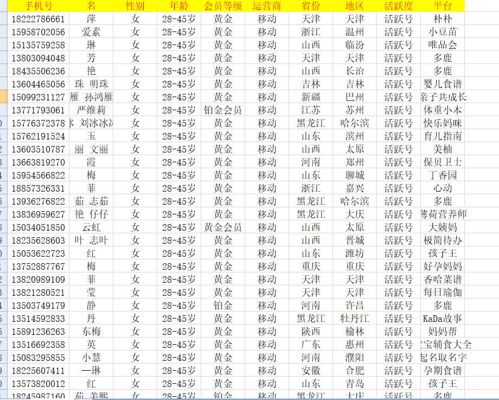 女性宝妈数据2W条