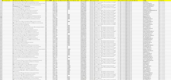 俄罗斯养老金老年人数据25万条