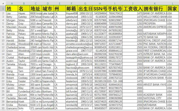 姓名 地址 城市	州	邮箱	出生日	SSN号码	手机号码	工资收入	拥有银行	国家