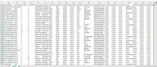 CustID Title_Before Title_After Name名字中间名姓氏全名出生地点出生日期性别 IDType IDNumber IDExpDate NPWP NPWPExpDate 宗教教育 婚生子女国籍-手机号等格式