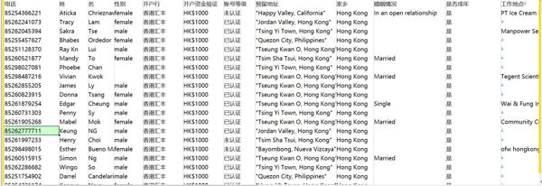 电话,姓,名,性别,开户行,开户资金验证,账号等级,预留地址,家乡,婚姻情况,是否成年,工作地点