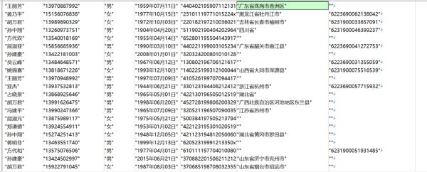 姓名-号码-性别-出生年-身份证-地址